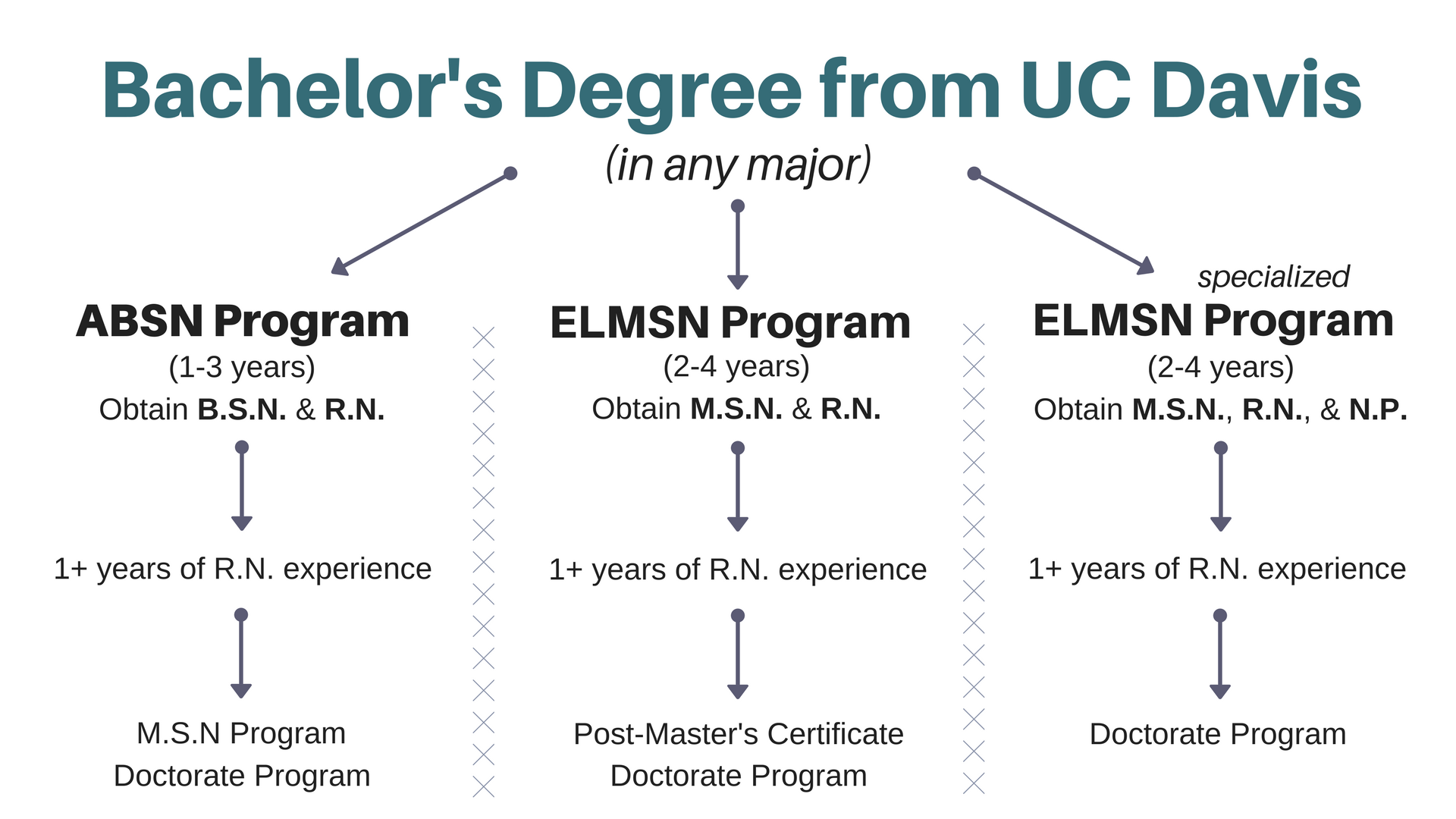 Diagram of the different pathways to nursing after getting bachelor's from UC Davis, such as ABSN program or ELMSN program.