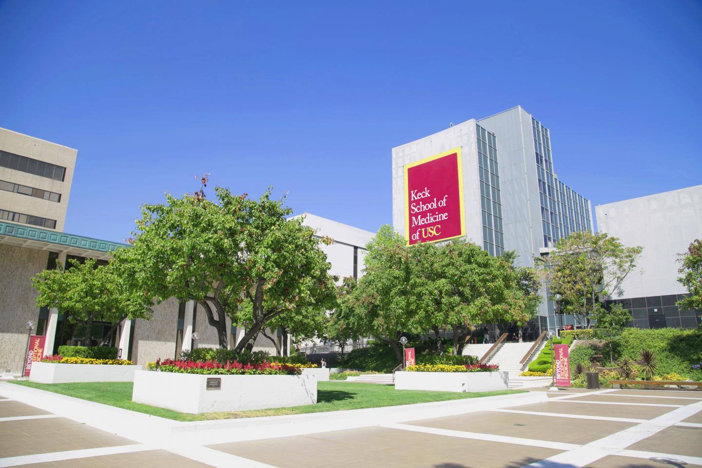 Outdoor view of a building that says Keck School of Medicine of USC with some grass and trees in front of the building.