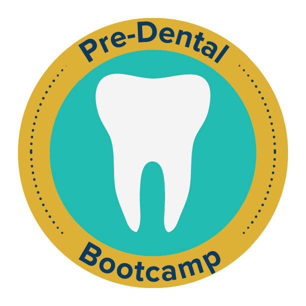 Pre-Dental Bootcamp Logo