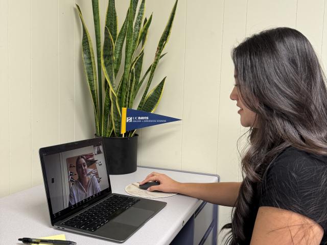 Peer Zoom Meeting