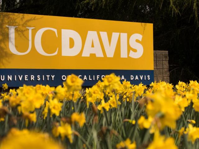 uc dvais sign: save the date